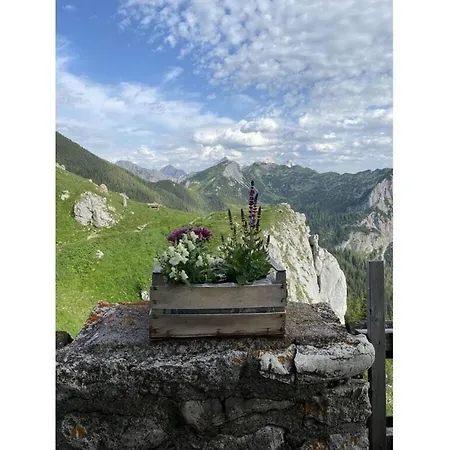 Glatzle - Vacation At The Baker * Zöblen